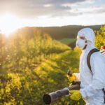 Top 4 Household Pests in West Georgia and How to Stop Them