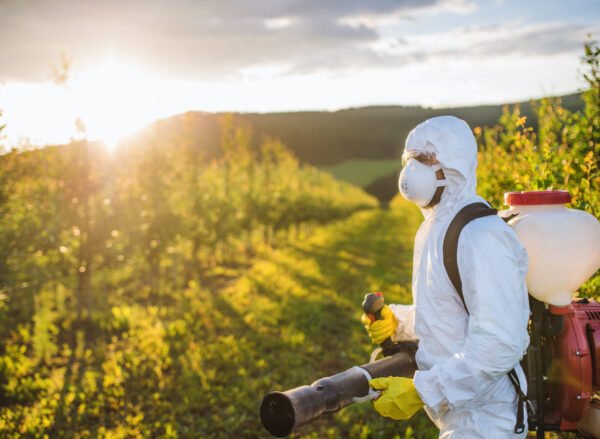 A farmer in protective suit walking outdoors in orchard at sunset, using pesticide chemicals.