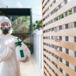 How Often Should You Get a Termite Inspection in West Georgia?